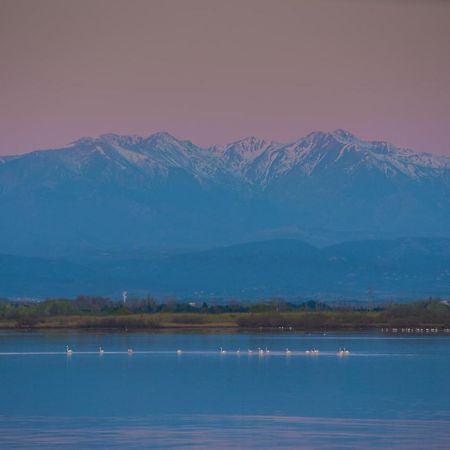 "Chill" Magnifique Vue Sur La Mer Et Le Port Au Coeur De La Ville En Premiere Ligne Canet-en-Roussillon Luaran gambar