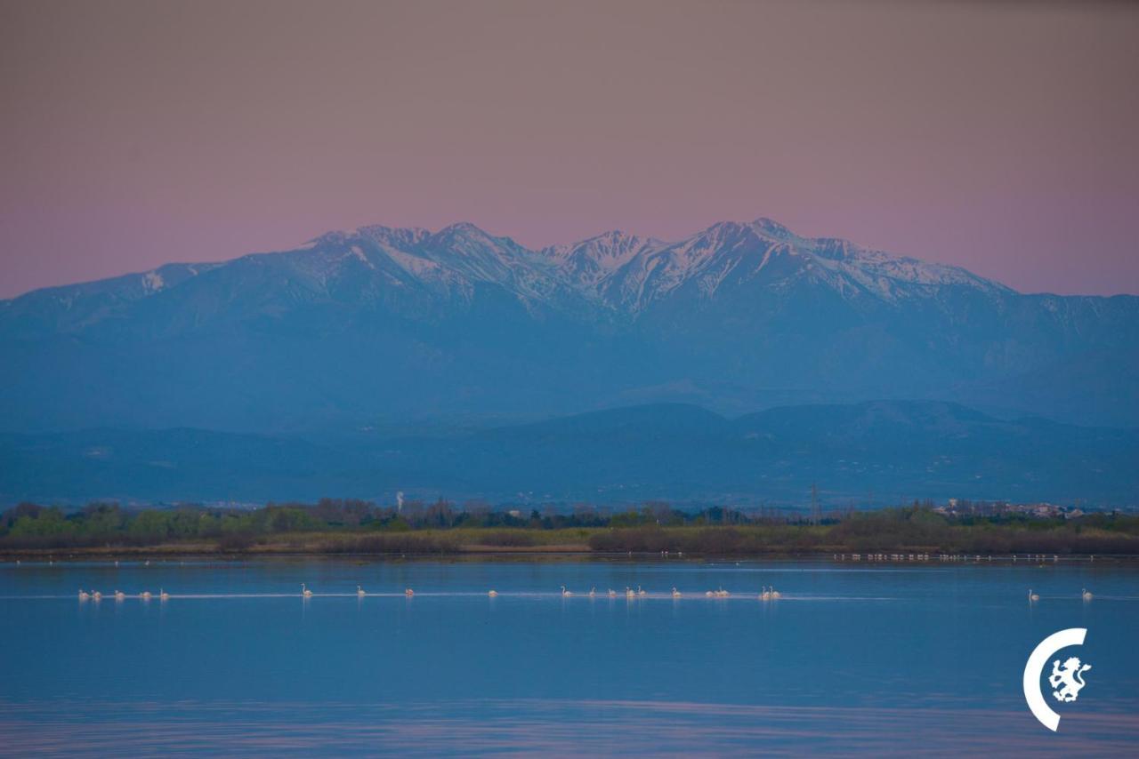 "Chill" Magnifique Vue Sur La Mer Et Le Port Au Coeur De La Ville En Premiere Ligne Canet-en-Roussillon Luaran gambar