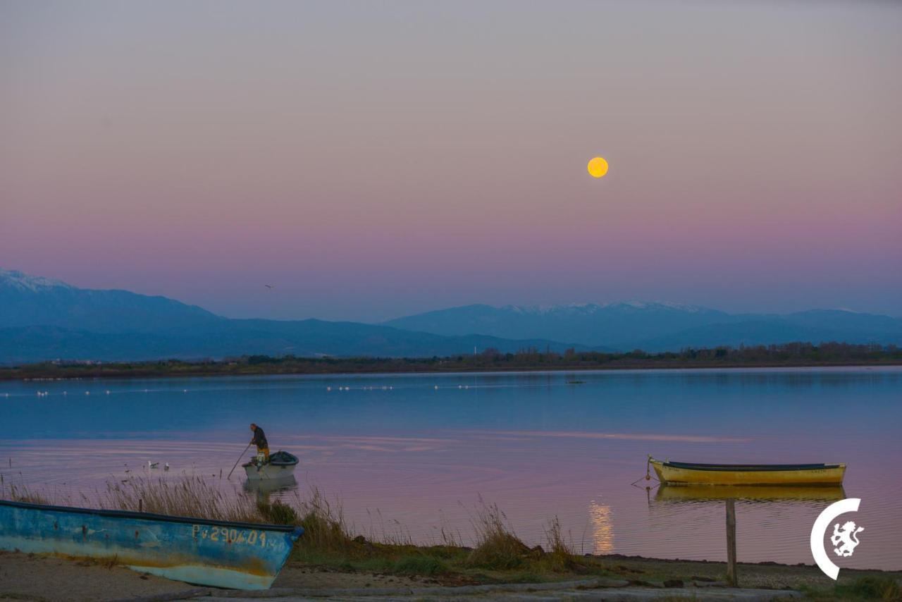 "Chill" Magnifique Vue Sur La Mer Et Le Port Au Coeur De La Ville En Premiere Ligne Canet-en-Roussillon Luaran gambar